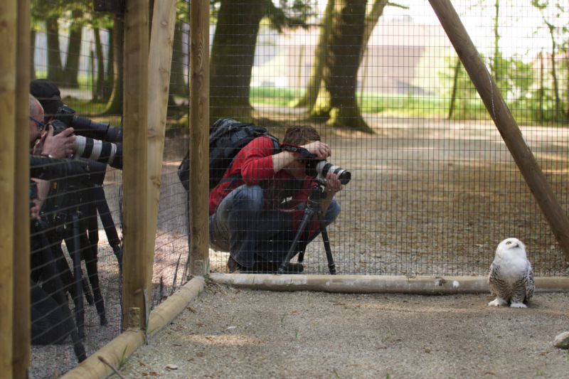 Fotografen in Action 008